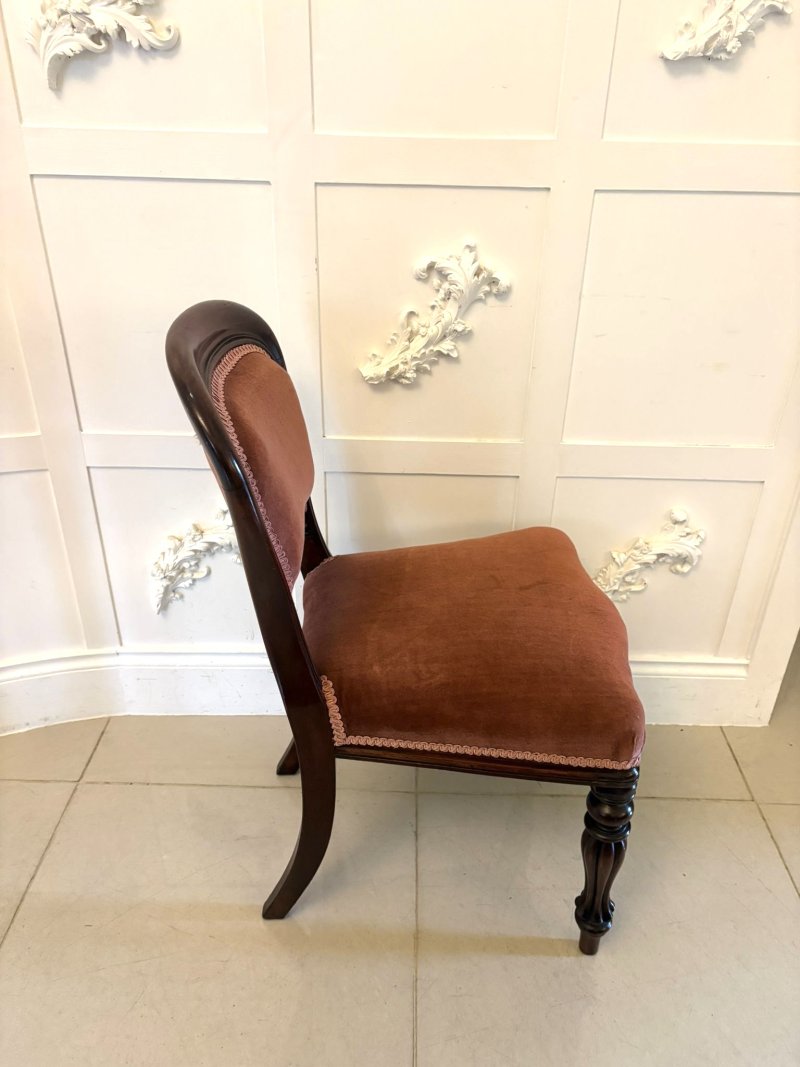 Antique Victorian Set of 6 Mahogany Dining Chairs with Tulip Legs - Image 5